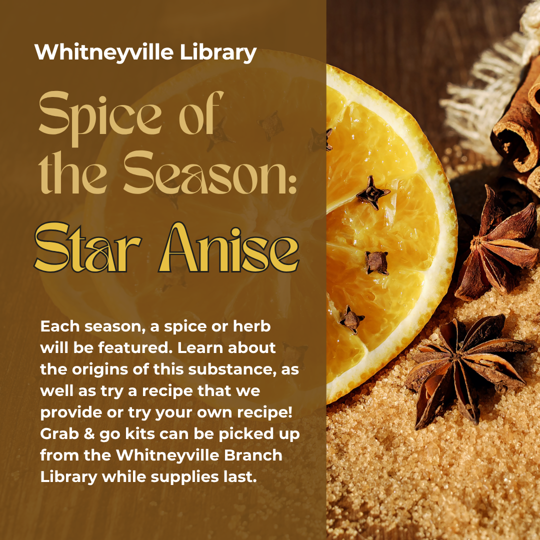 Spice of the Season -Star Anise