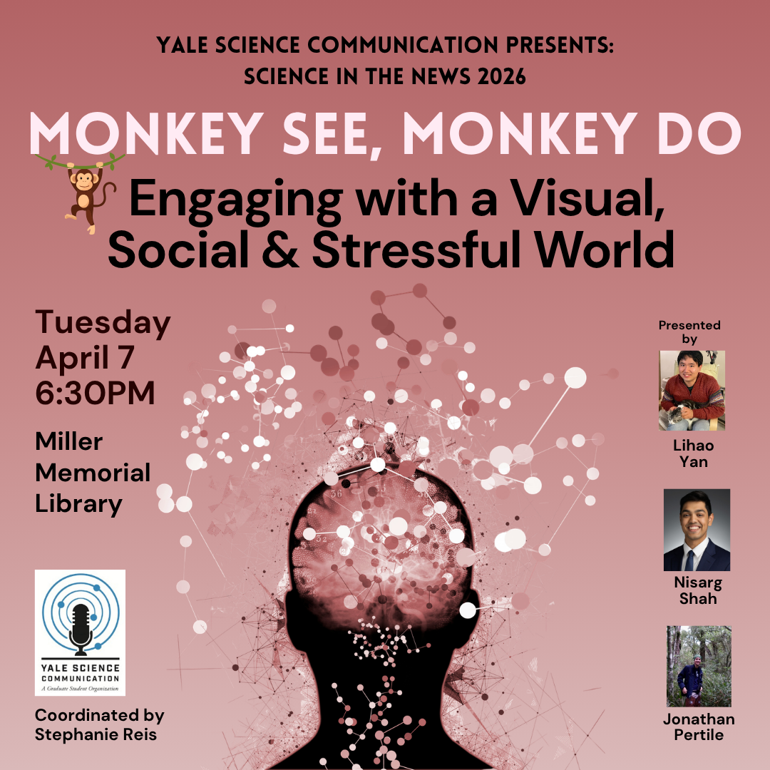 monkey see monkey do