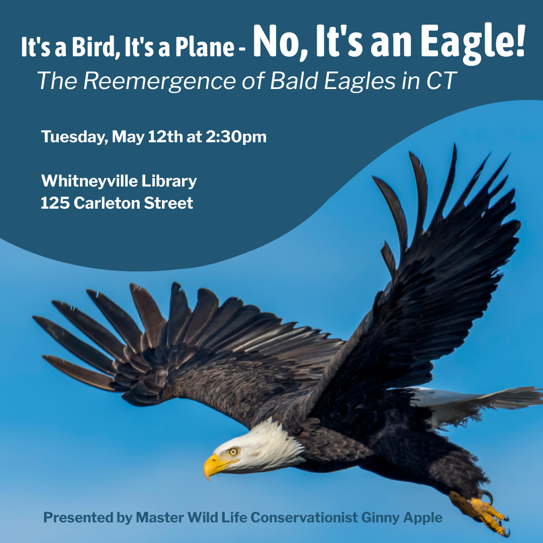 It's an Eagle