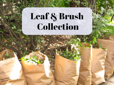 Spring Leaf & Brush Collection Begins May 4th