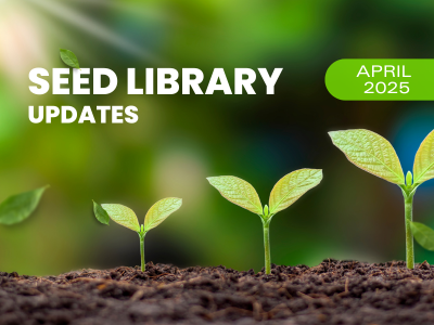 Hamden Library Seed Library Update - April 2025