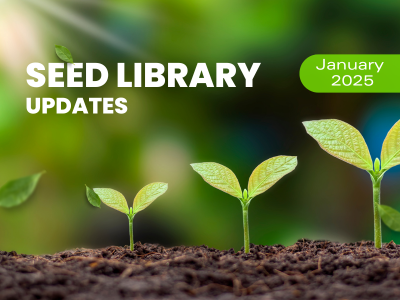 Hamden Library Seed Library Update - Jan. 2025