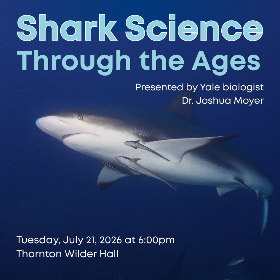 Shark Science Through the Ages