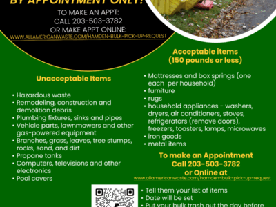 Bulk Trash Pickup