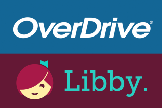 Filtering AI from Libby